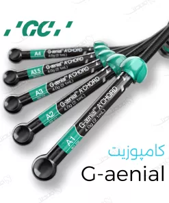 کامپوزیت جیانیال / Composite GC G-aenial