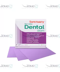 لاستیک رابردم بنفش سنکچوری / Sanctuary Purple